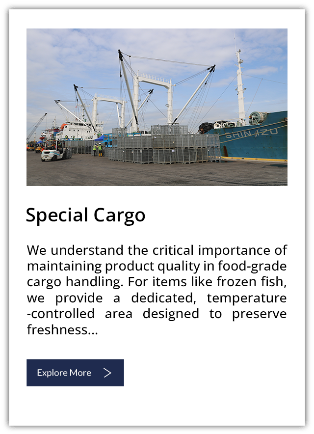 Special Cargo Putih
